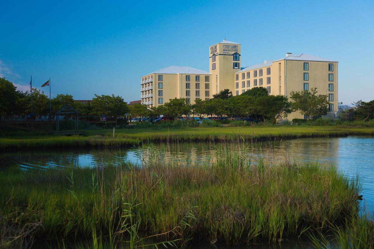 Coconut Malorie Resort Hotel, Ascend Hotel Collection Ocean City Exterior foto